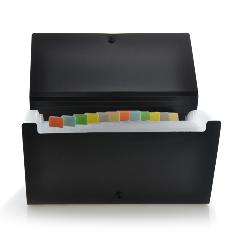 Clasificador Chequera 12 Div. 