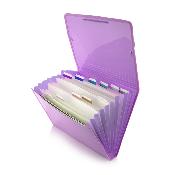 Clasificador 12 Divisiones Blush Morado