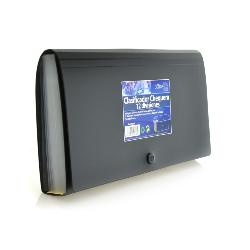 Clasificador Chequera 12 Div. 