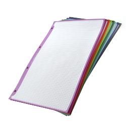 Recambio de Papel Carpeta & Block A4+ Colorline 