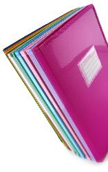 Carpeta 20 Fundas  Colorline