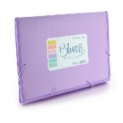 Clasificador 12 Divisiones Blush Morado